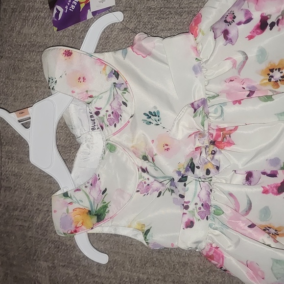 Blueber Boulevard Toddler girl sleeveless Fit & flare Dress Size 2T - Picture 7 of 8